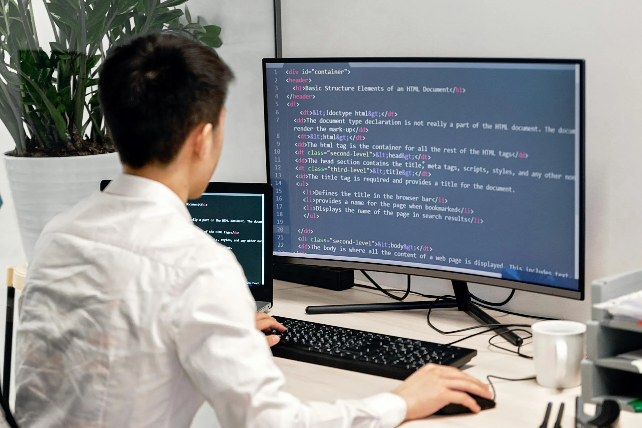 Junior Frontend Developer